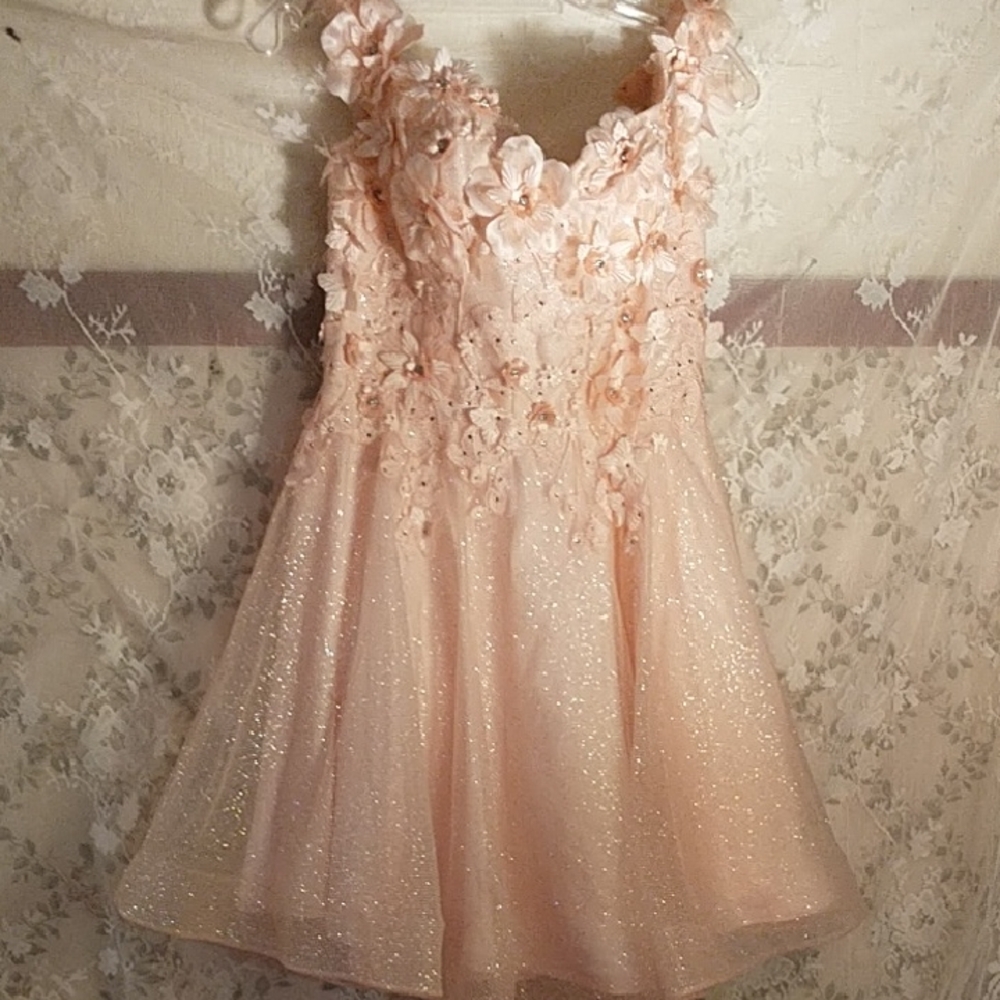 Juliet pink short party dress all over netting with flowers & glass stones sz M
